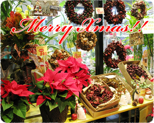 Merry Xmas!!