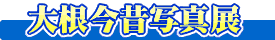 �卪���̎ʐ^�W