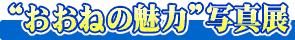 "�����˂̖���"�ʐ^�W